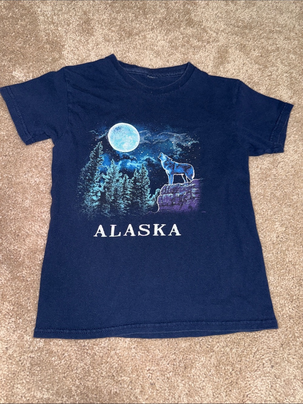 Kids Navy Alaska Wolf Graphic Tee